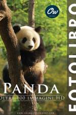 Panda af A Arelt