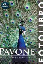 Pavone af A Arelt