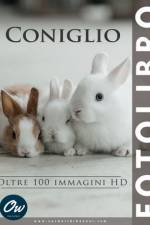 Coniglio af A Arelt