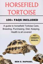 Horsefield Tortoise af Ben O Raphael