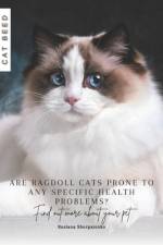 Are Ragdoll cats prone to any specific health problems? af Ruslana Shurpatenko