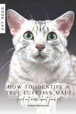 How to identify a true Egyptian Mau? af Ruslana Shurpatenko