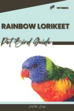 Rainbow Lorikeet af Anatolii Ahryr