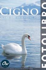 Cigno af A Arelt