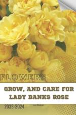 Grow, and Care For Lady Banks Rose