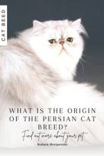 What is the origin of the Persian cat breed? af Ruslana Shurpatenko