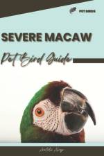Severe Macaw af Anatolii Ahryr