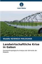 Landwirtschaftliche Krise in Gabun af Waddle Nziengui Malouana