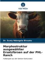 Morphostruktur ausgewählter Ersatzfärsen auf der PHL-Ranch af Scoty Ndongala Bivuatu