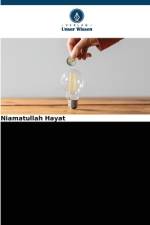 Determinanten des Sparens der Haushalte: Eine Fallstudie in Kabul, Afghanistan af Niamatullah Hayat