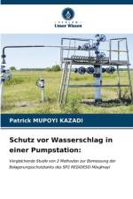 Schutz vor Wasserschlag in einer Pumpstation: af Patrick Mupoyi Kazadi