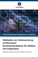 Methoden zur Untersuchung nichtlinearer Randwertprobleme für Medien mit Gedächtnis af Saidmuhammad Ibragimovich Igbolov