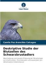 Deskriptive Studie der Blutzellen des Schwarzbrustadlers af Camila Paz Arancibia Calcagno