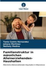 Familienstruktur in männlichen Alleinerziehenden-Haushalten af Tania Castro Hernandez