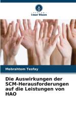 Die Auswirkungen der SCM-Herausforderungen auf die Leistungen von HAO af Mebrahtom Tesfay
