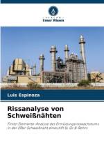 Rissanalyse von Schweißnähten af Luis Espinoza