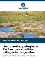 Socio anthropologie de l'échec des comités villageois de gestion af Mafine Tenin Ouattara