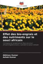 Effet des bio-engrais et des nutriments sur le souci africain af Abhinav Kumar