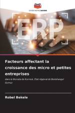 Facteurs affectant la croissance des micro et petites entreprises af Robel Bekele