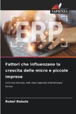 Fattori che influenzano la crescita delle micro e piccole imprese af Robel Bekele
