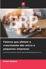Fatores que afetam o crescimento das micro e pequenas empresas af Robel Bekele