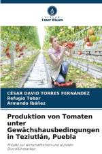 Produktion von Tomaten unter Gewächshausbedingungen in Teziutlán, Puebla af César David Torres Fernández