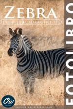 Zebra af A Arelt