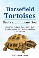 Horsefield Tortoises af Ben George Carre