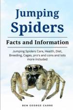 Jumping Spider af Ben George Carre