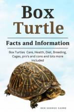 Box Turtle af Ben George Carre