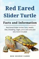 Red-Eared Slider Turtle af Ben George Carre