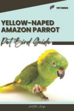 Yellow-Naped Amazon Parrot af Anatolii Ahryr