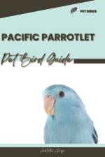 Pacific Parrotlet af Anatolii Ahryr