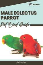 Male Eclectus Parrot af Anatolii Ahryr