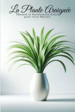 La Plante Araignée af Saad Rahal