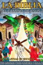 La Biblia El Camino de Jesus af Bachetor Publishing