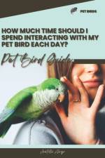 How much time should I spend interacting with my pet bird each day? af Anatolii Ahryr