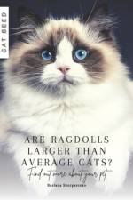 Are Ragdolls larger than average cats? af Ruslana Shurpatenko