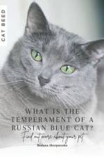 What is the temperament of a Russian Blue cat? af Ruslana Shurpatenko