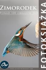 Zimorodek af A Arelt