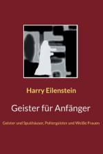 Geister für Anfänger af Harry Eilenstein