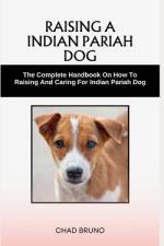 Indian Pariah Dog af Chad Bruno