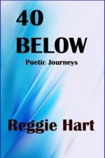 40 Below af Reggie Hart