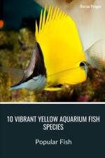 10 Vibrant Yellow Aquarium Fish Species af Roman Pirogov