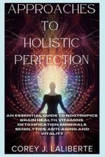 Approaches to Holistic Perfection af Corey Joseph Laliberte