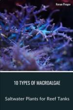 10 Types of Macroalgae af Roman Pirogov