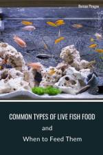 Common Types of Live Fish Food af Roman Pirogov