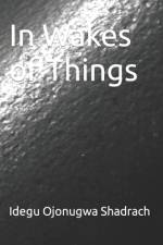 In Wakes of Things af Idegu Ojonugwa Shadrach