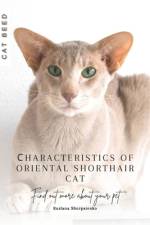Сharacteristics of Oriental Shorthair cat af Ruslana Shurpatenko