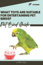 What toys are suitable for entertaining pet birds? af Anatolii Ahryr
